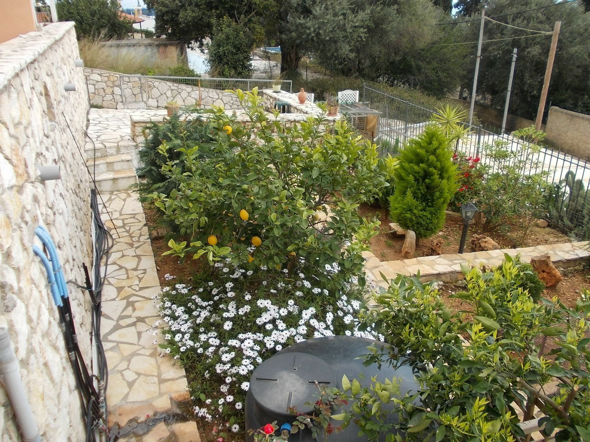 Sarakinos Apartments Barbati Esterno foto